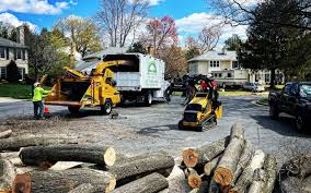 Loch Sheldrake, NY Tree Services Company